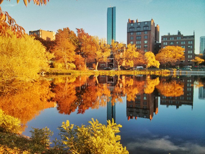 IMG_20151026_170614-01