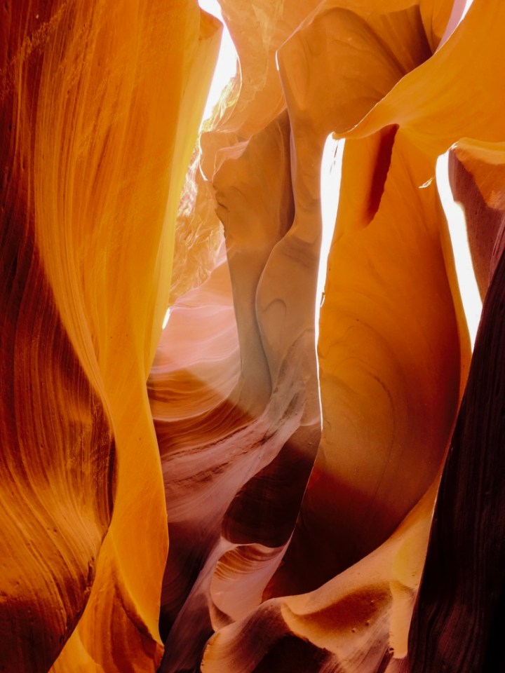 UNADJUSTEDNONRAW_thumb_b19