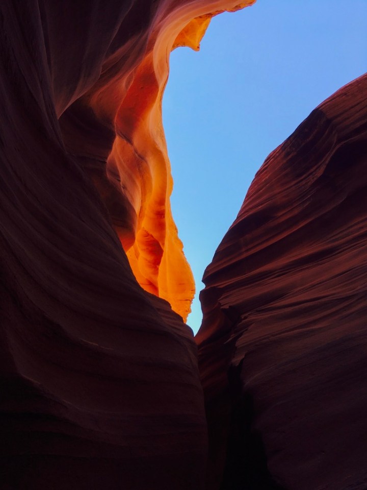 UNADJUSTEDNONRAW_thumb_b1e