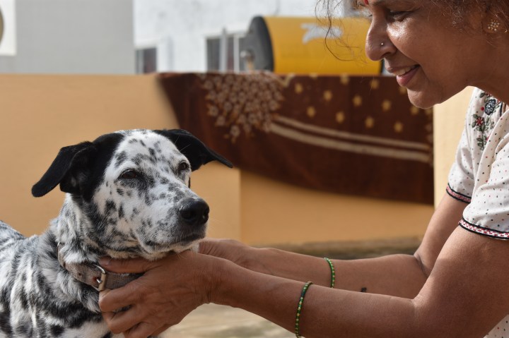 Adieu, Juno! You are forever&nbsp;loved!